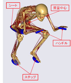 接触面と加速度の追加