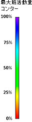最大筋活動量コンター