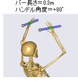 バー長さ＝0.3m、ハンドル角度＝+80°