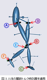 図3　人体の関節トルク時刻歴を適用