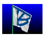 TB Logo旗帜